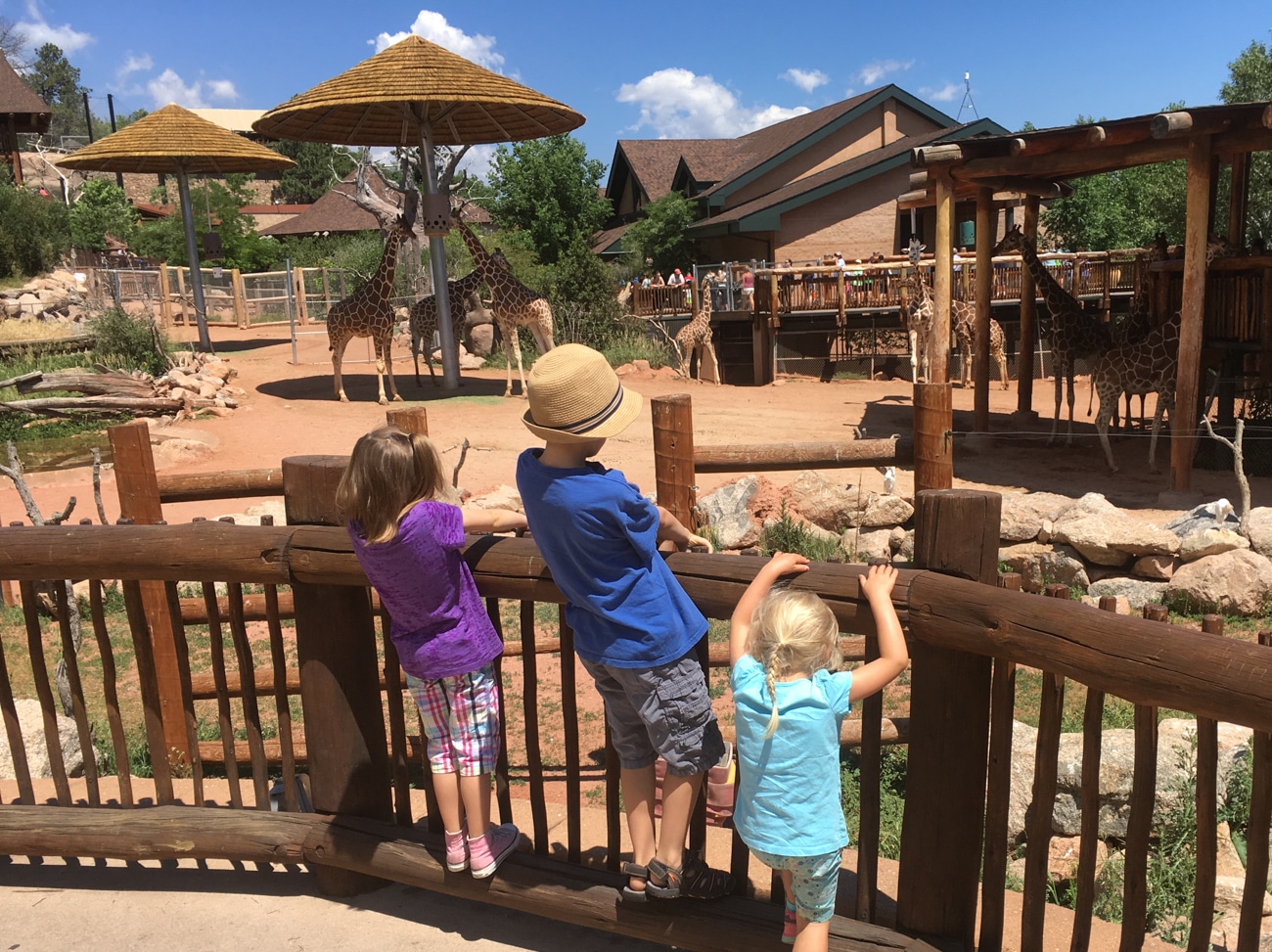 Directions To The Cheyenne Mountain Zoo Cheyenne Mountain Zoo Colorado Springs