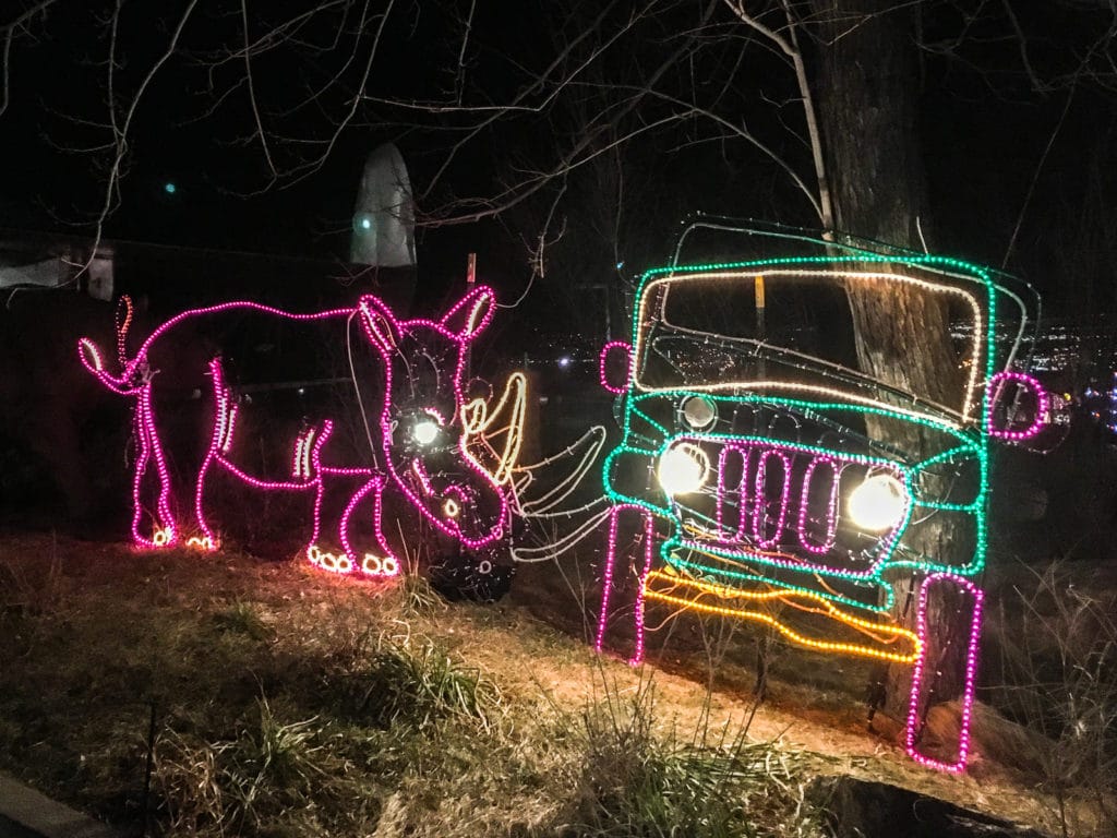 Cheyenne Mountain Zoo Electric Safari Rhino