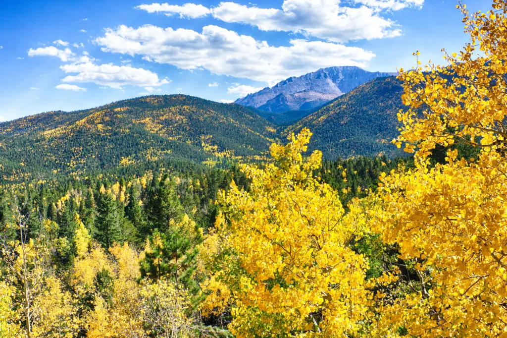 Pikes Peak Fall colors are a sight to behold