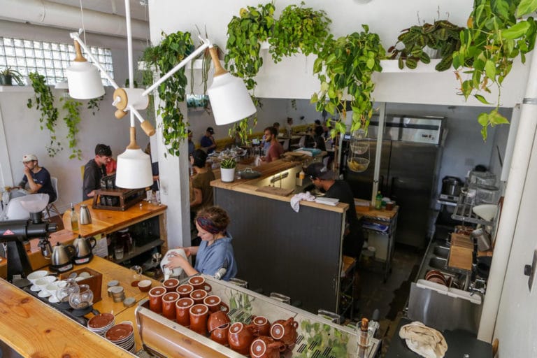 5 MustTry Coffee Shops in Colorado Springs Garden of the Gods Colorado