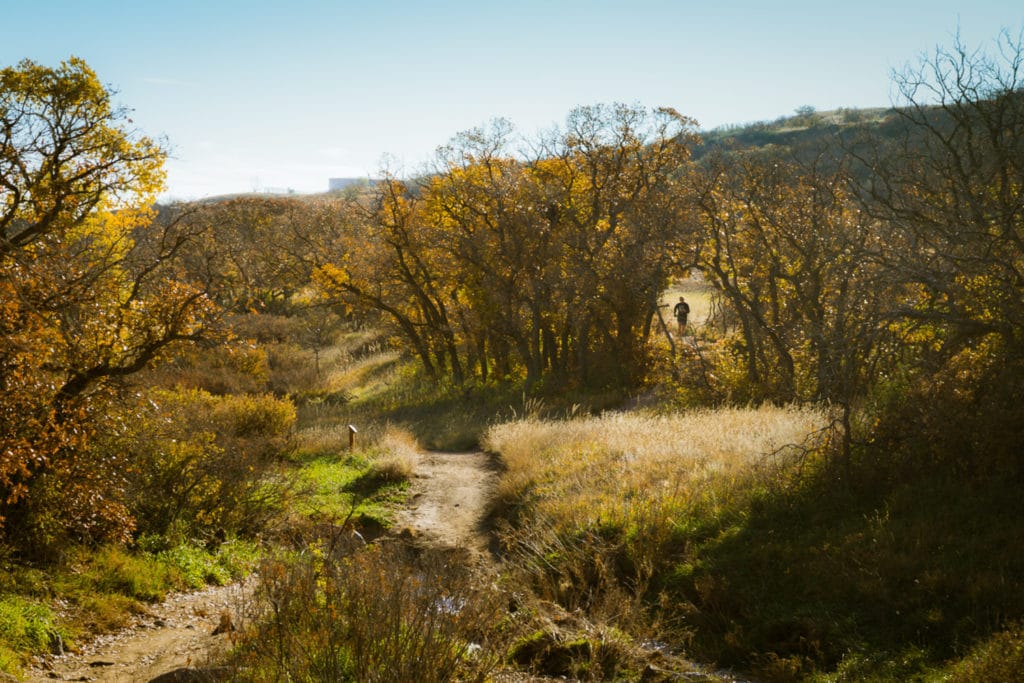 Trail running Cheyenne Mountain State Park